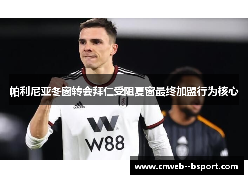 帕利尼亚冬窗转会拜仁受阻夏窗最终加盟行为核心