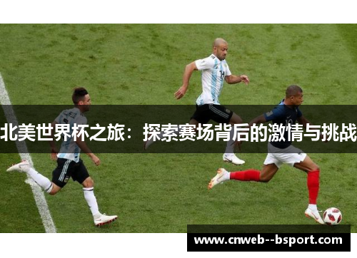 北美世界杯之旅：探索赛场背后的激情与挑战
